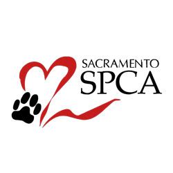donate car sacramento|donate car sacramento spca.
